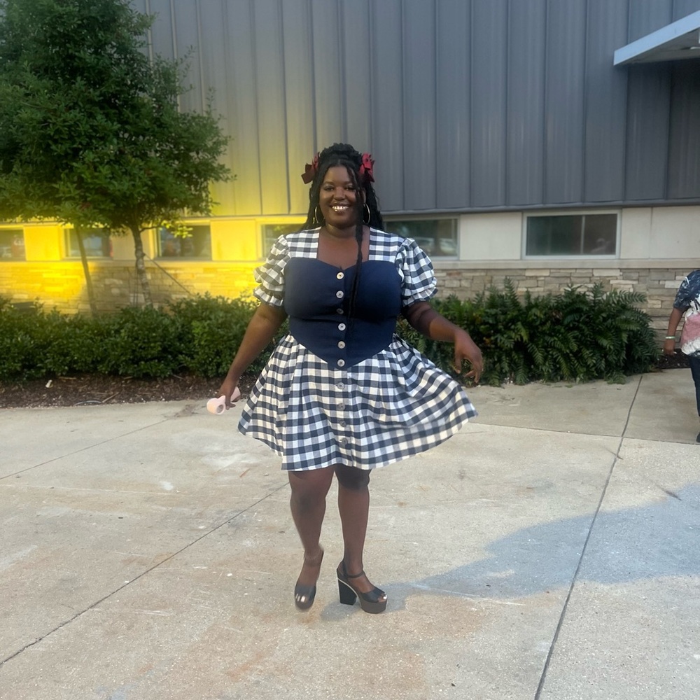 Fashion Brand Company Blue and White Plaid Mini Dress - Picture 2 of 4